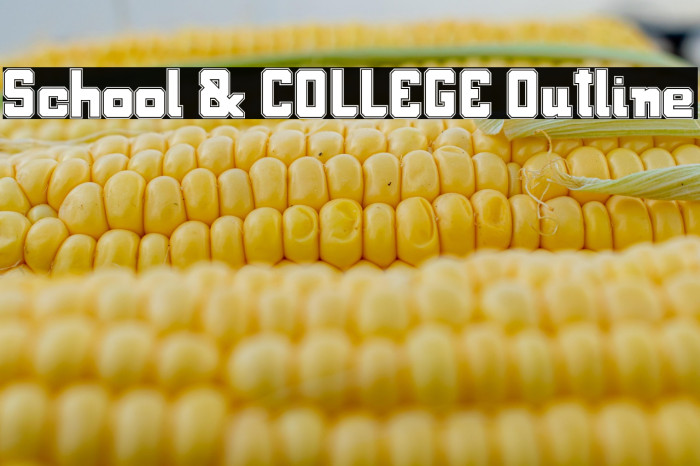 School & COLLEGE Outline Example 3