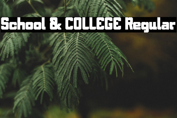 School & COLLEGE Regular Example 2