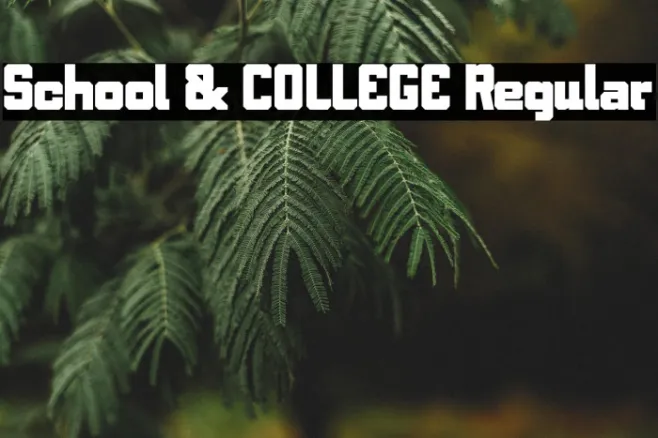 School & COLLEGE Regular Example 2