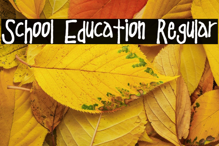 School Education Regular Example 1