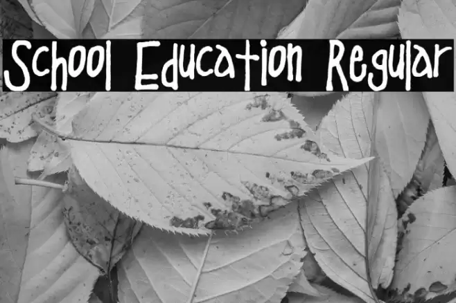 School Education Regular Font examples