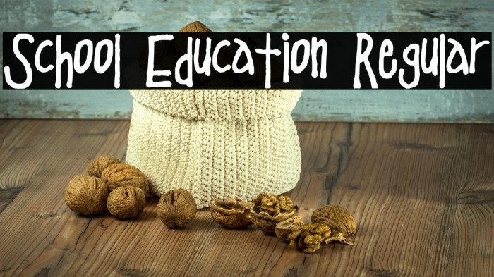 School Education Regular Example 2