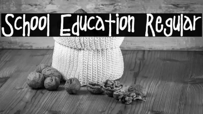 School Education Regular Font examples