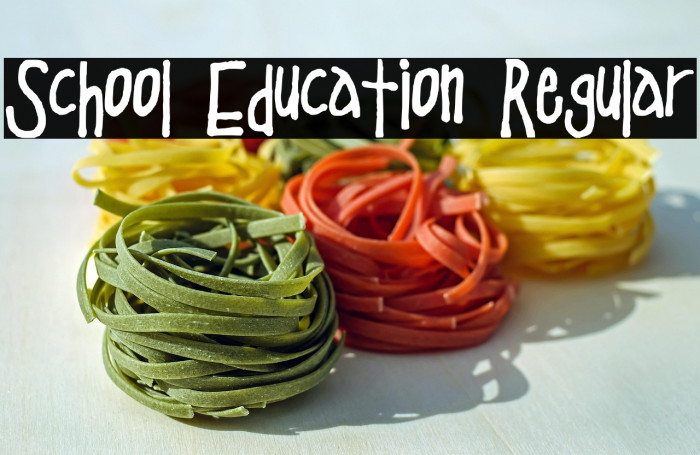 School Education Regular Example 3