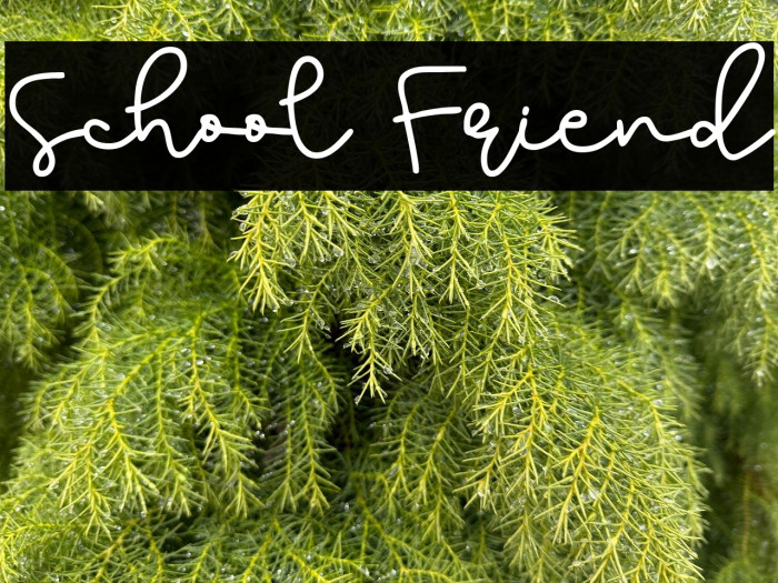 School Friend Example 1