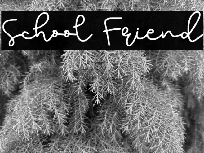 School Friend Caratteri examples