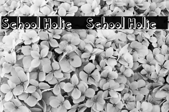 School Holic 6 School Holic 6 Polices examples