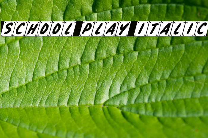School Play Italic Font examples