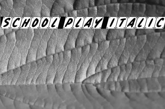 School Play Italic Fonte examples