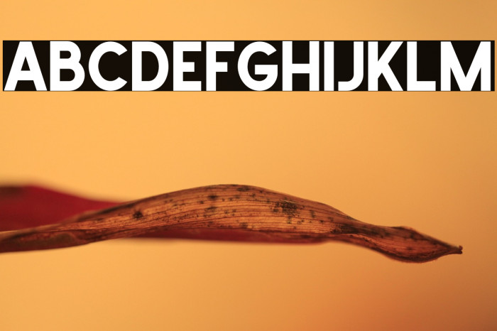 School Times Example 2