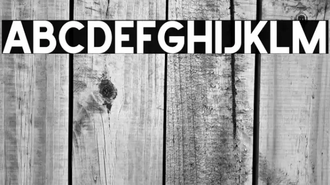 School Times Font examples