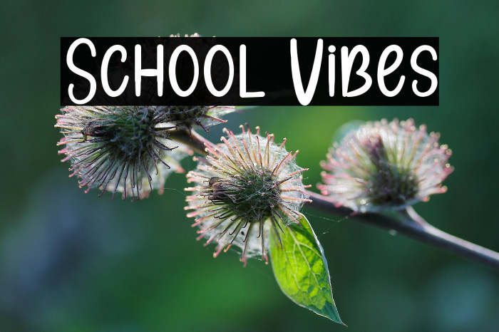 School Vibes Example 1