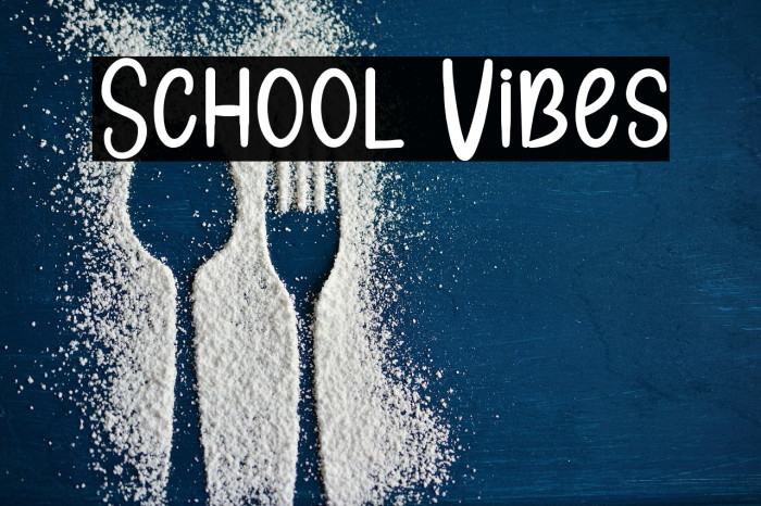 School Vibes Example 2