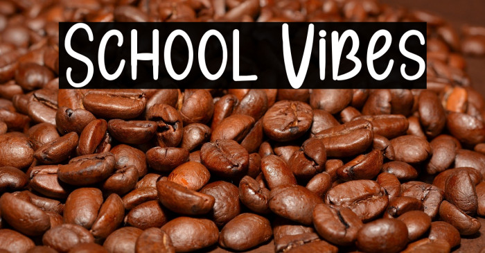 School Vibes Example 3
