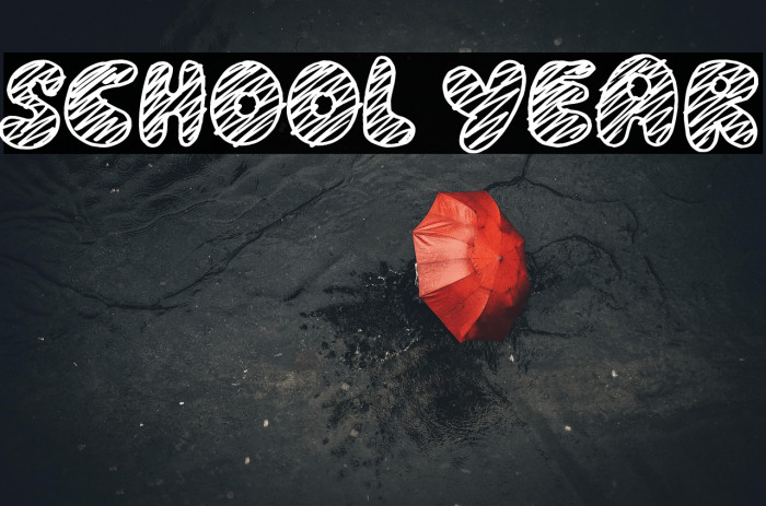 School Year Example 2