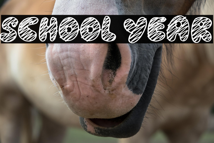 School Year Example 3