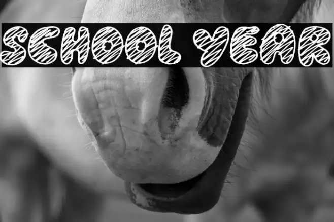 School Year Font examples