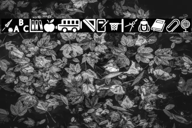 School Font examples