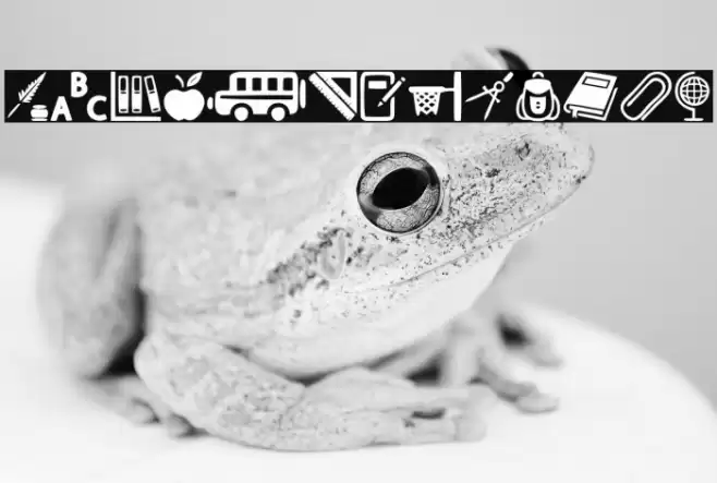 School Font examples