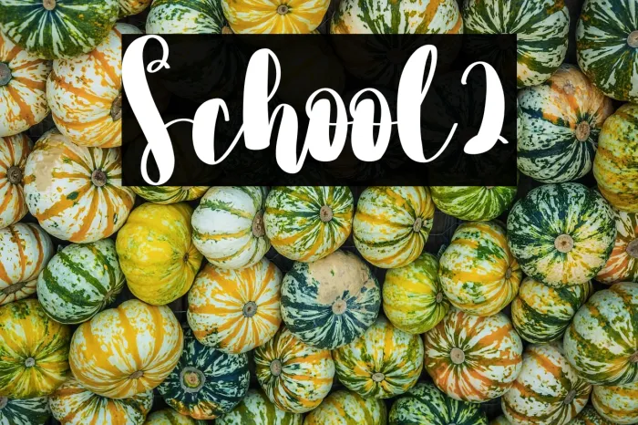 School2 Example 2