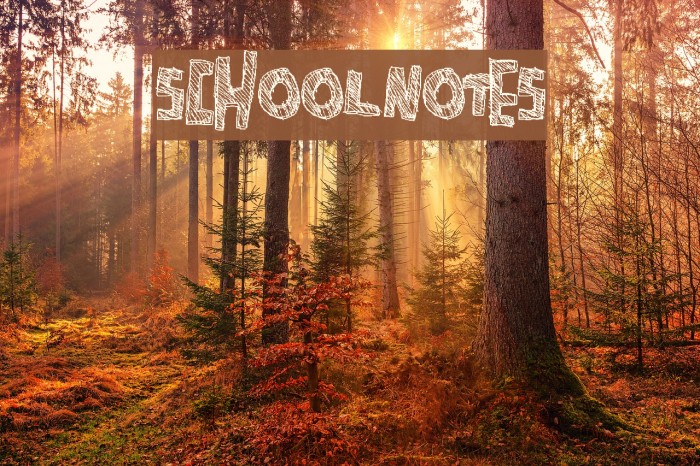 SchoolNotes Font examples