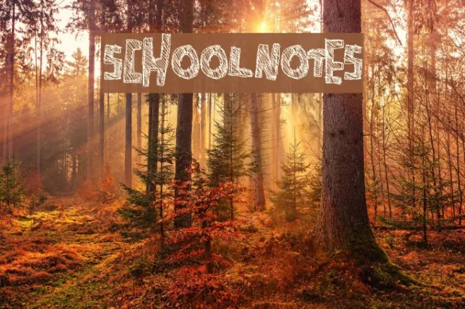 SchoolNotes Example 2