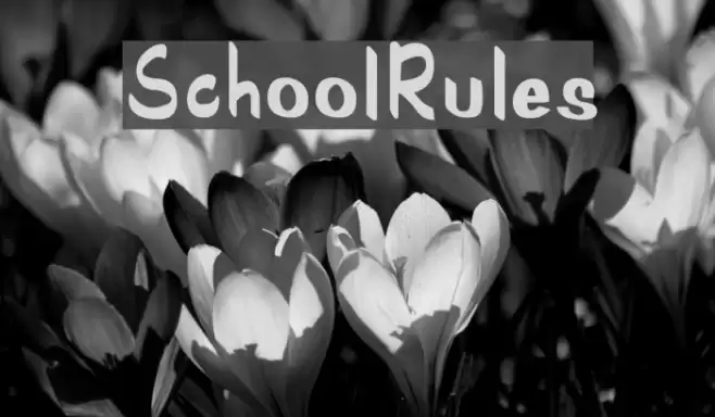 SchoolRules Font examples