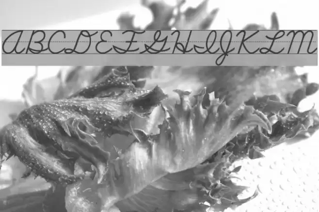 SchoolScriptDashed خط examples