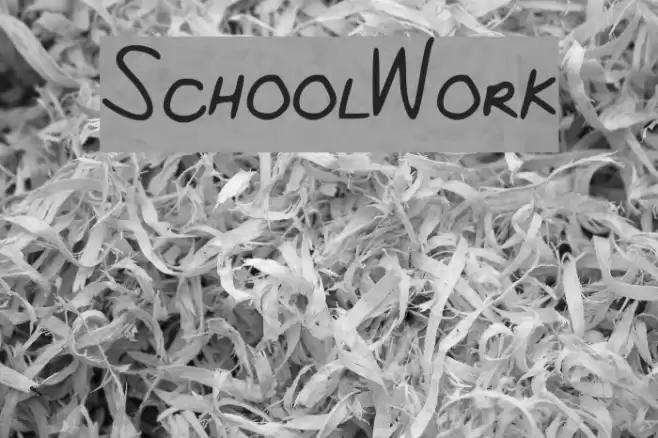 School_Work Font examples