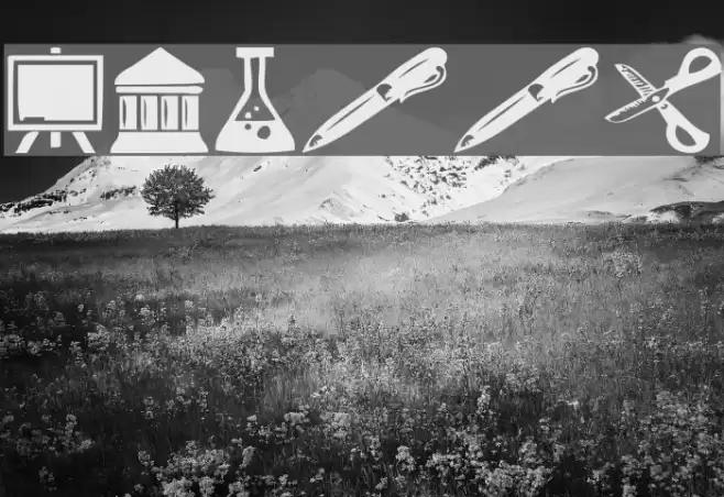 School Font examples