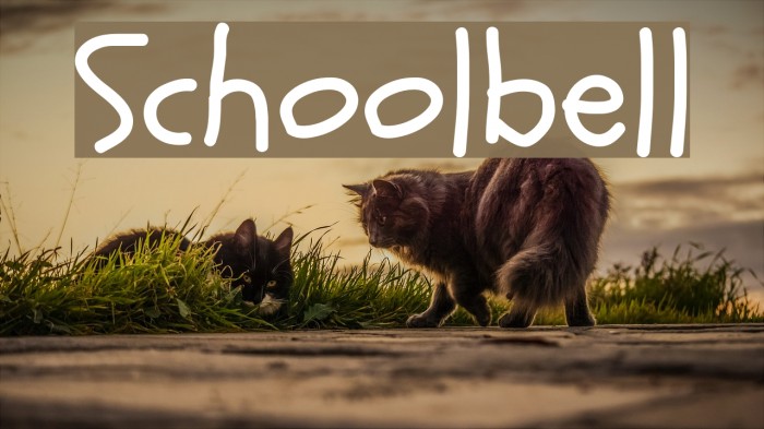 Schoolbell Font examples