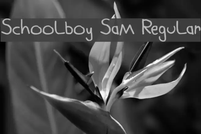 Schoolboy Sam Regular Font examples