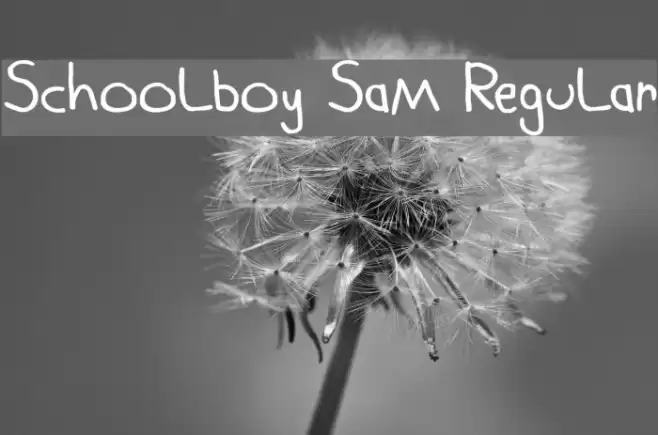 Schoolboy Sam Regular Font examples
