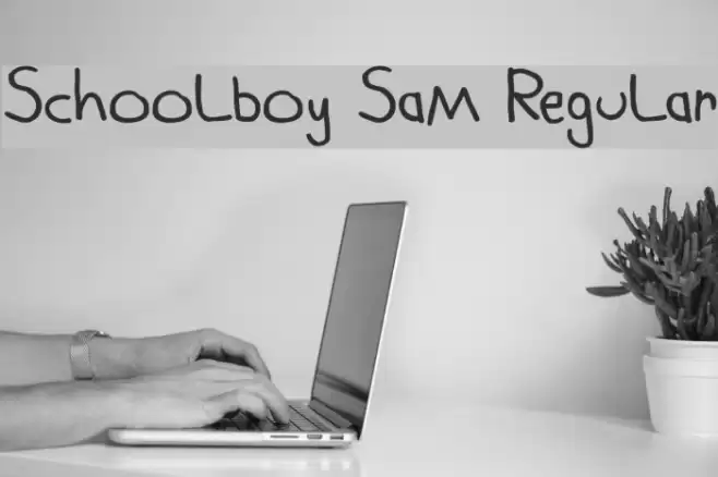 Schoolboy Sam Regular Font examples