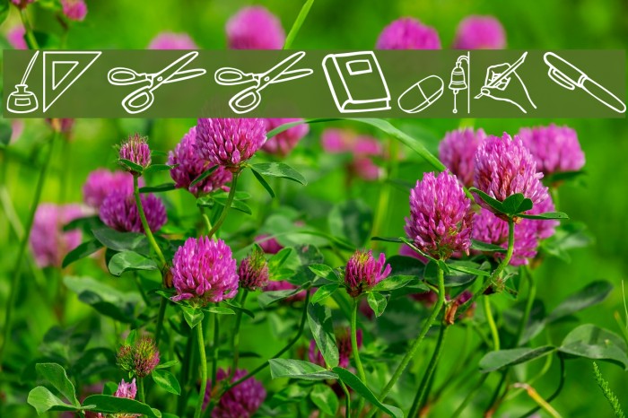 Schooldays Example 1