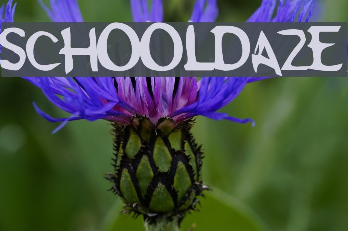Schooldaze フォント examples