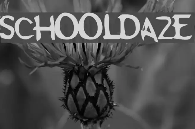Schooldaze Font examples