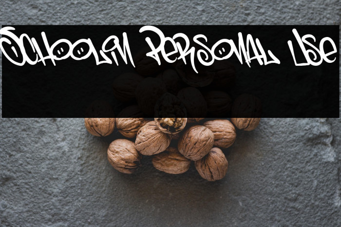 Schoolin Personal Use Example 1