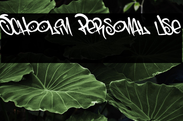 Schoolin Personal Use Example 3