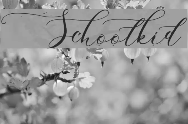 Schoolkid Font examples