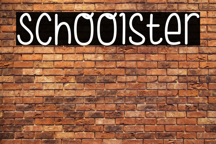 Schoolster Fuentes examples