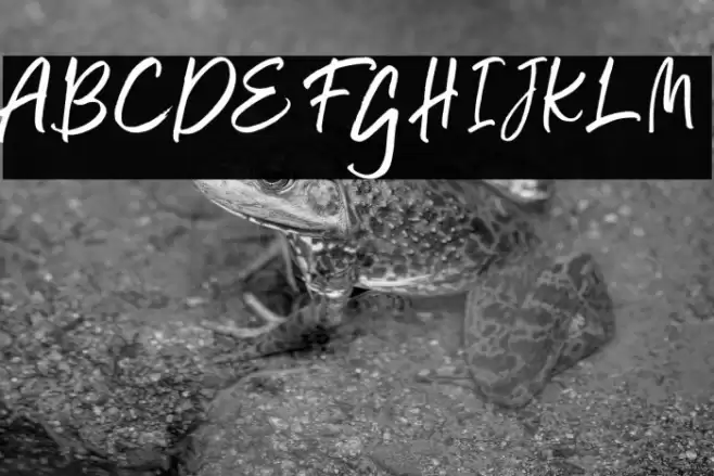 SchoolystFree-Regular Font examples