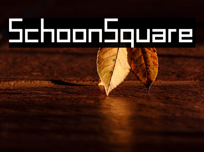 SchoonSquare Example 1