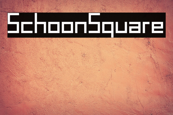 SchoonSquare Example 2