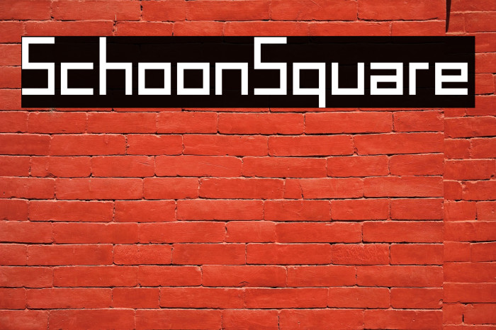 SchoonSquare Example 3