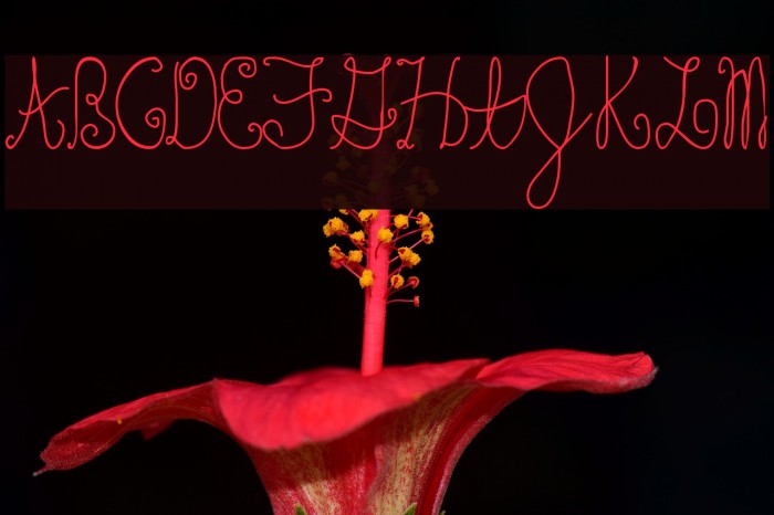 Schosszeit1 Font examples
