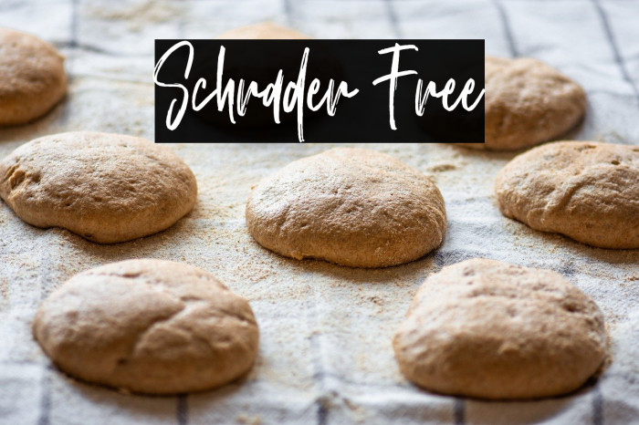 Schrader Free Example 1