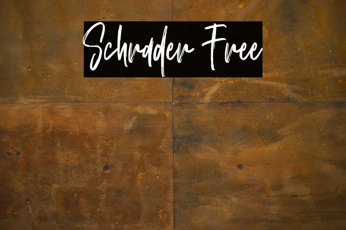 Schrader Free Example 2