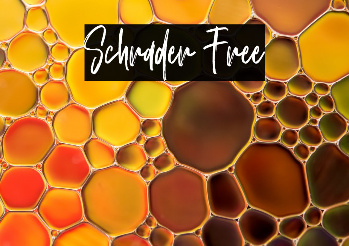 Schrader Free Example 3