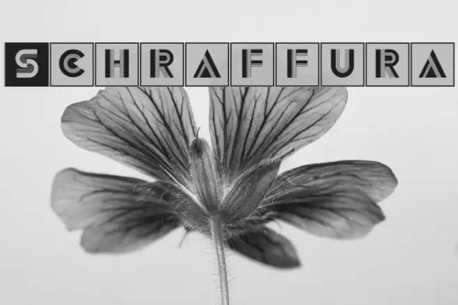 Schraffura Font examples